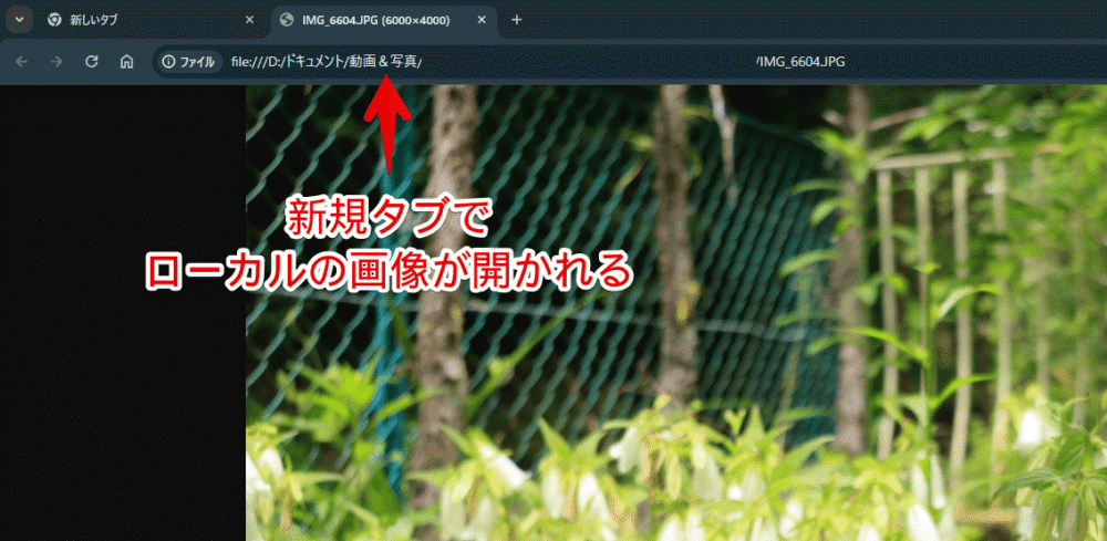 画像をドラッグ&ドロップしてPCのローカル写真をGoogleレンズで調べる手順画像2