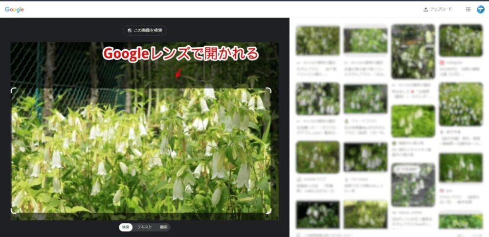 Google画像検索ページからPCのローカル写真をGoogleレンズで調べる手順画像3