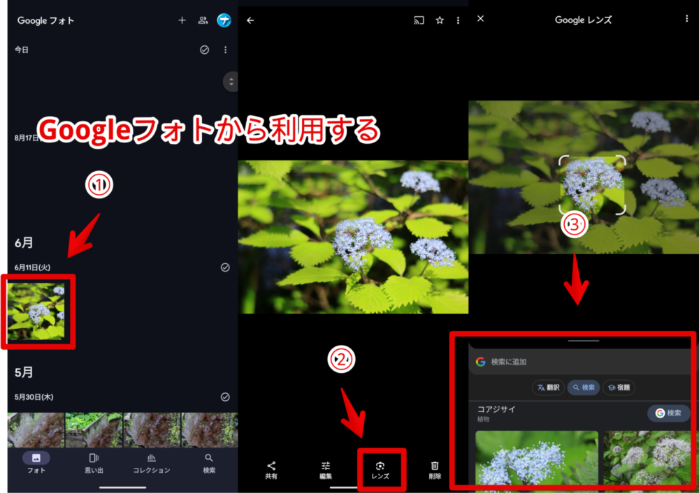 Googleフォトアプリから撮った写真をGoogleレンズで調べる手順画像