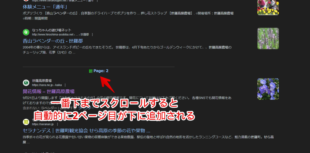 「uAutoPagerize」拡張機能を使ったGoogleの検索結果画像