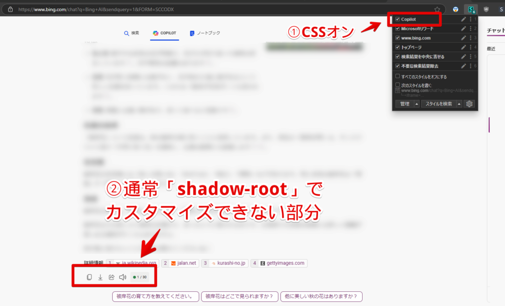 通常「shadow-root（shadowDOM）」でCSSを適用できない「Copilot」上でCSSを適用させている画像