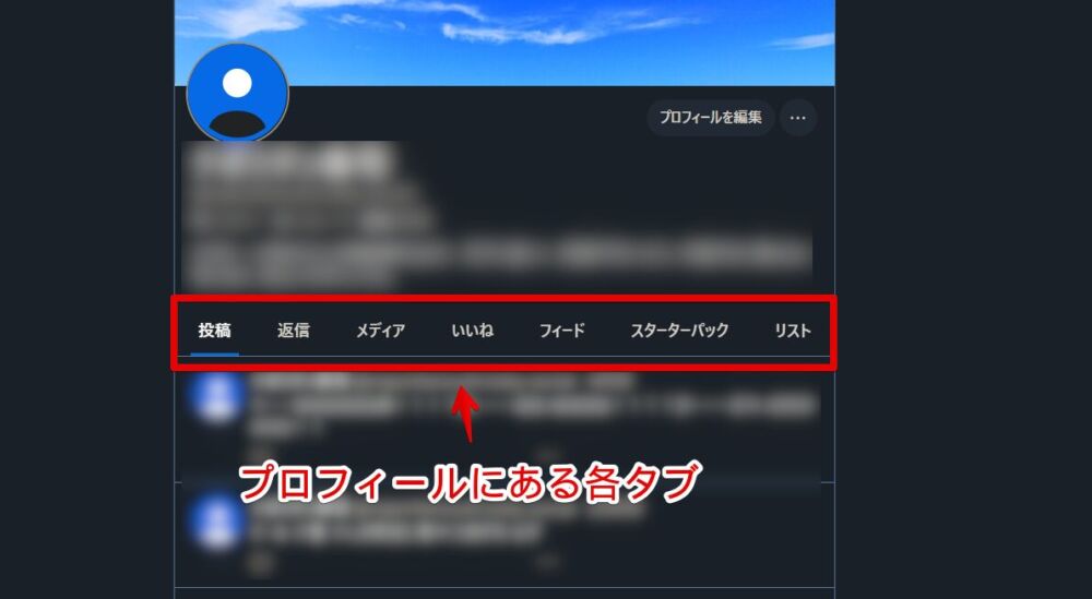 PC版「Bluesky」のプロフィールページにあるフィードやリストのタブ画像