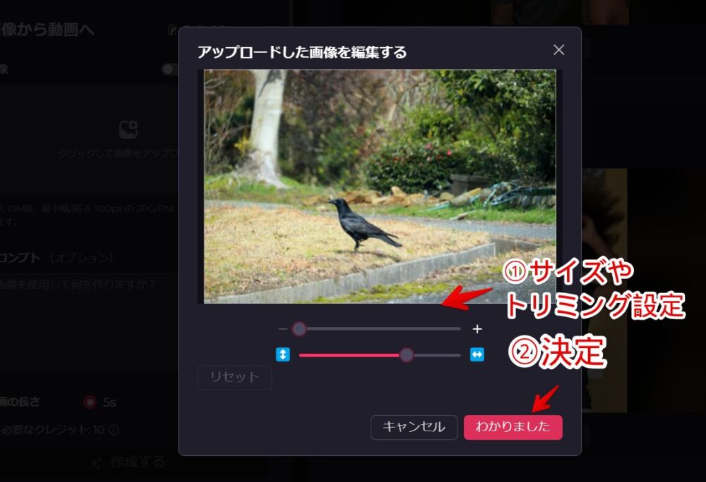 「Pollo.AI」の「画像から動画へ」にアップロードした画像のサイズ変更ダイアログ画像